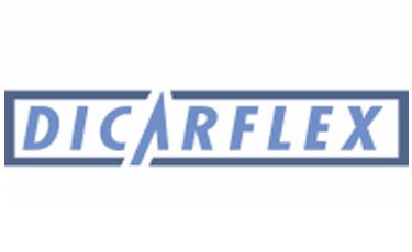 Logo Dicarflex