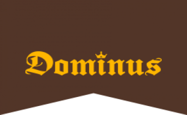 Dominus Quimica