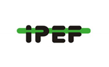 IPEF - Instituto de Pesquisas e Estudos Florestais