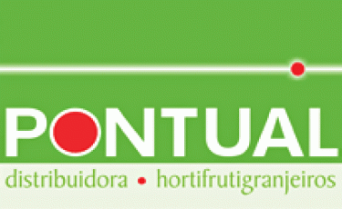 Pontual Comercial